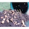 Emsco Group Spud Tub Potato Grow Kit, Works Great on Decks and Patios, Low Maintenance & High Potato Yields 2351-1 - alternate 5